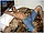 tnYoungStraightBoys.com_Boualem_0040.JPG