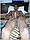 tnYoungStraightBoys.com_Boualem_0078.JPG