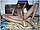 tnYoungStraightBoys.com_Boualem_0122.JPG