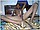 tnYoungStraightBoys.com_Boualem_0123.JPG