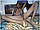 tnYoungStraightBoys.com_Boualem_0124.JPG