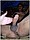 tnYoungStraightBoys.com_Boualem_0128.JPG