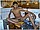 tnYoungStraightBoys.com_Boualem_0140.JPG