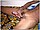 tnYoungStraightBoys.com_Boualem_0235.JPG