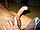 tnYoungStraightBoys.com_Fawzi_0067.JPG