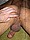 tnYoungStraightBoys.com_Fawzi_0097.JPG