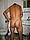 tnYoungStraightBoys.com_Fawzi_0122.JPG
