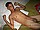 tnYoungStraightBoys.com_Fawzi_0154.JPG