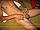 tnYoungStraightBoys.com_Fawzi_0156.JPG